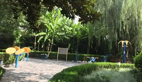 深圳户口的条件_哈哈哈GM普通话还可以哦‼️有点惊喜 普通话还恐怕要出雷军来说
